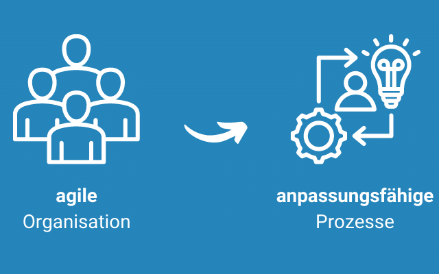 Analyse, Führung, Organisationsstruktur - LEANWOLF